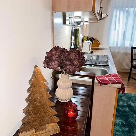 Nezabudka Vysoke Tatry, Samoobsluzny Pristup Cez Pin-kod, Parkovanie Zdarma * Nová Lesná