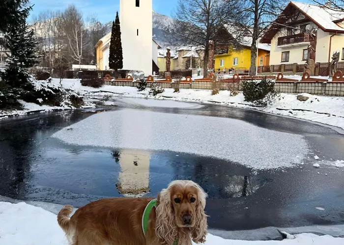 Nezabudka Vysoke Tatry, Samoobsluzny Pristup Cez Pin-kod, Parkovanie Zdarma Apartment Nová Lesná