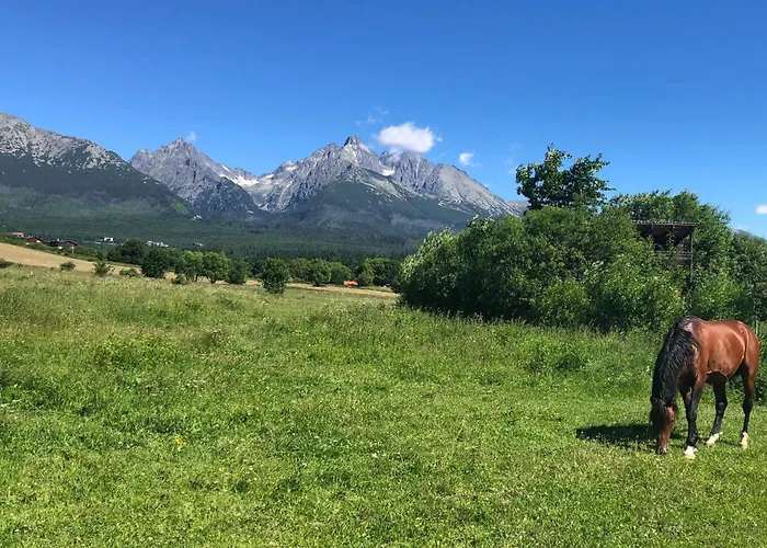 Nezabudka Vysoke Tatry, Samoobsluzny Pristup Cez Pin-kod, Parkovanie Zdarma Apartment